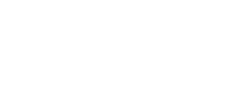 Navision Group