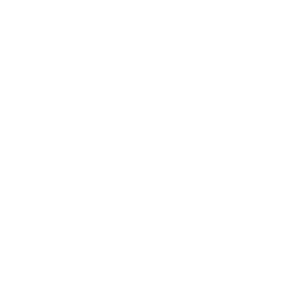 Smartphone hvid